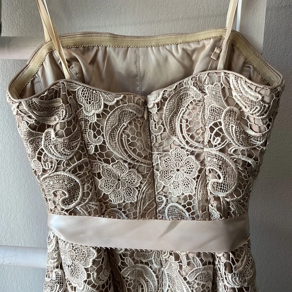 Adrianna Papell- Strapless, Laced Cocktail Dress- Sz 4 - Picture 7 of 8